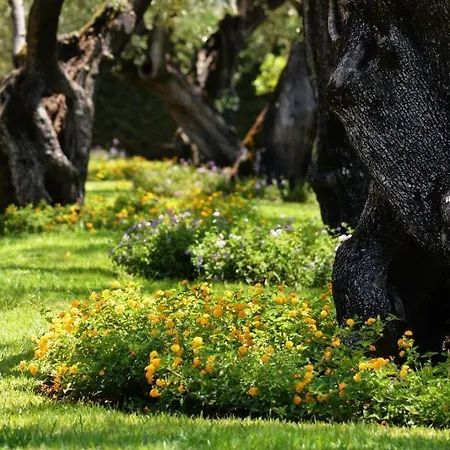 Villaggio Blue Marine