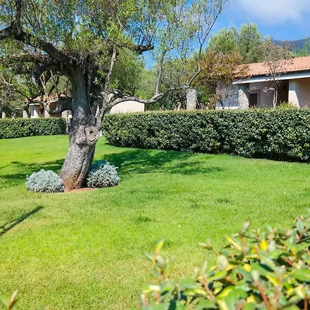 Villaggio Blue Marine 4* Marina di Camerota