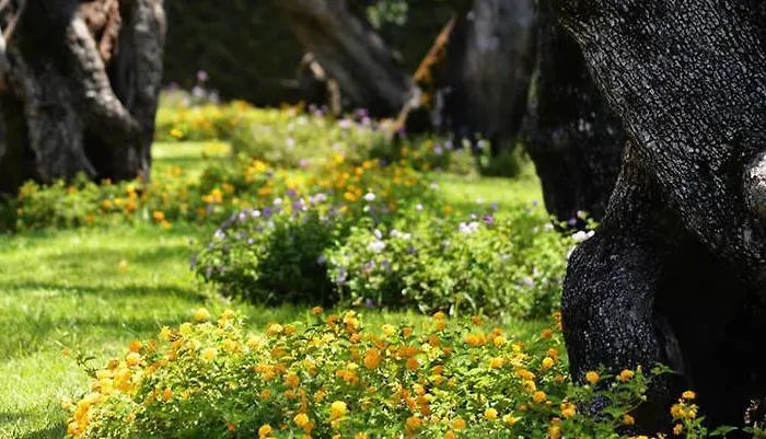 Ośrodek wypoczynkowy Villaggio Blue Marine 4*