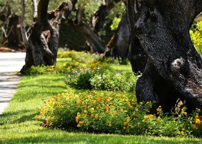 Villaggio Blue Marine